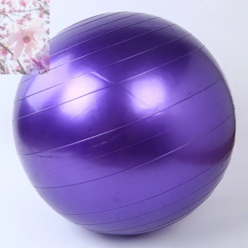 Yoga Ball Fitness Beginner Children Exercise More Gymnastics Glossy Ball - Rooted Regenerative: Sustainable Foods for the Future Rooted & Regenerative: Sustainable Foods for the Future Purple / 85CM