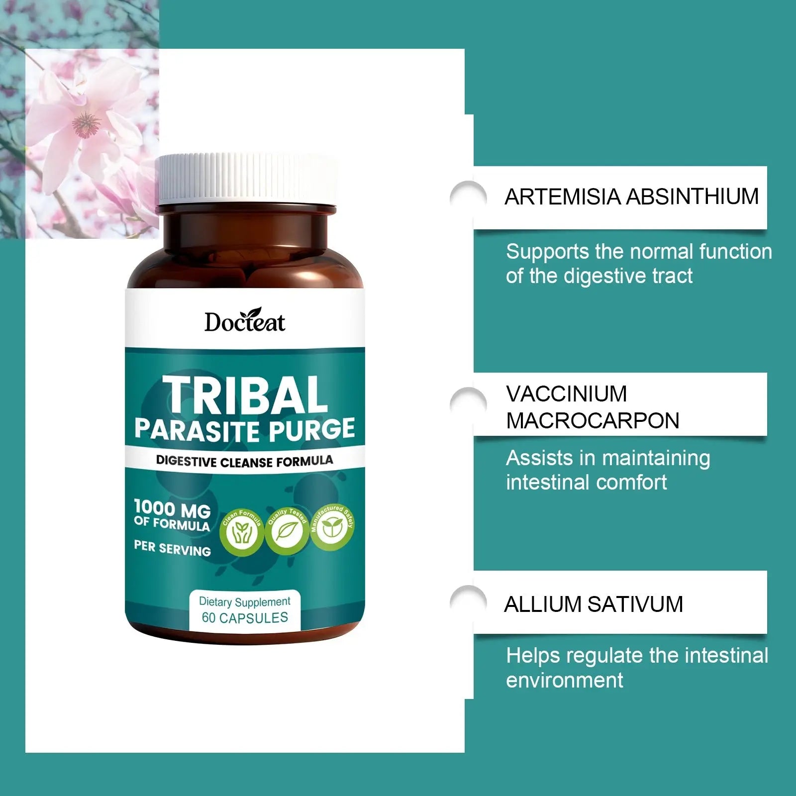 Intestinal Health Support Capsule - Rooted Regenerative: Sustainable Foods for the Future