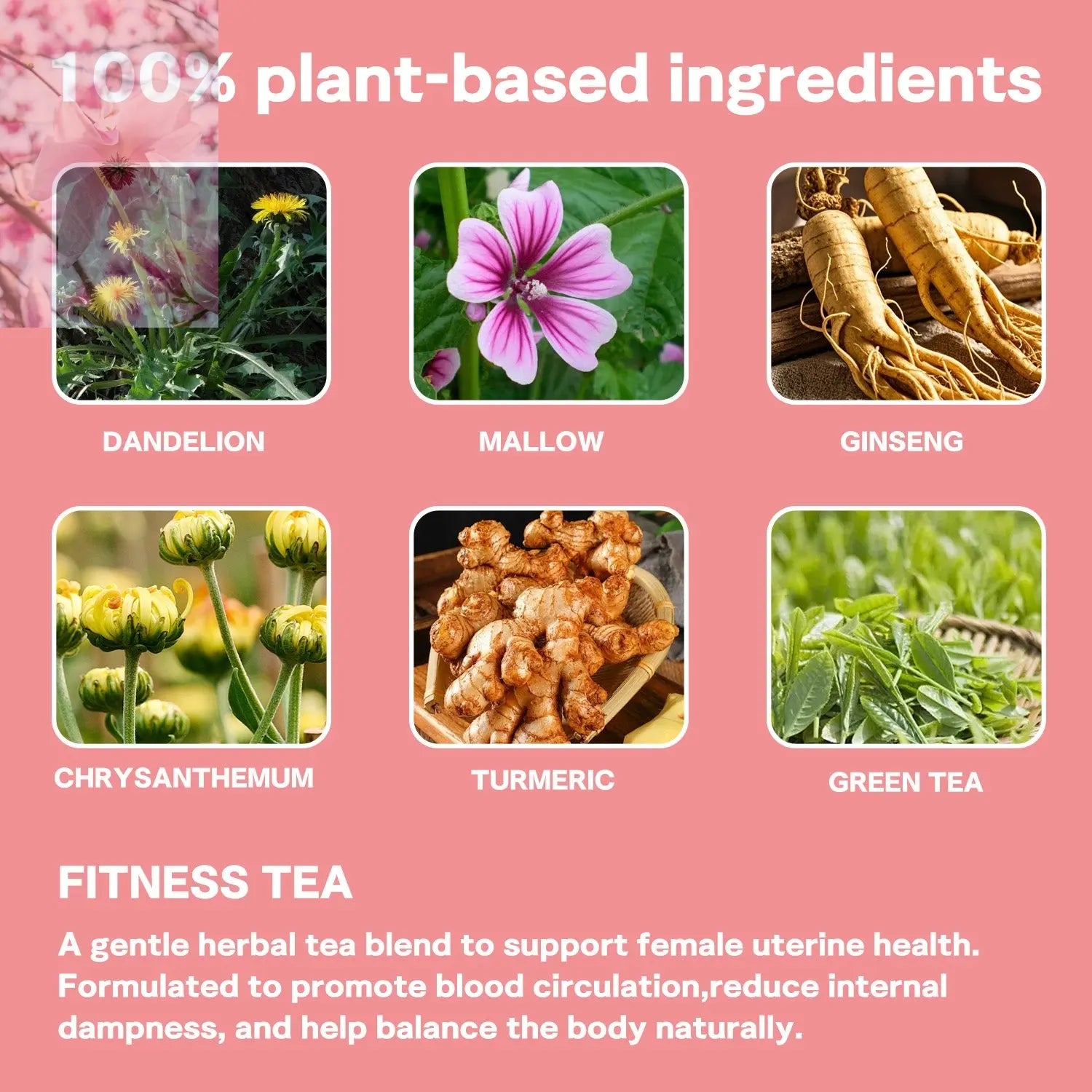 Wholesale Uterine Care Herbal Tea Herbal Supplement OEM ODM Women's Herbal Wellness Tea Daily Nourishment Balance Support GMP COA HALAL - Rooted Regenerative: Sustainable Foods for the Future