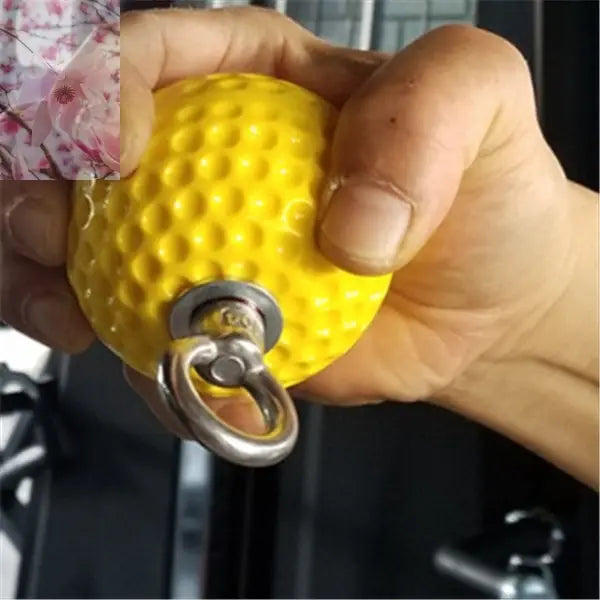 Fitness equipment training ball - Rooted Regenerative: Sustainable Foods for the Future