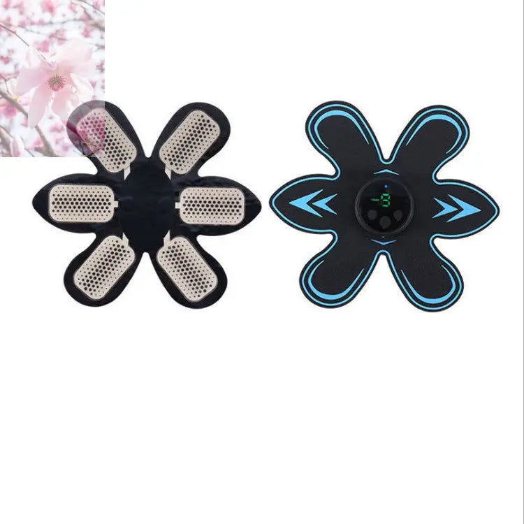 Muscle stickers home fitness equipment - Rooted Regenerative: Sustainable Foods for the Future