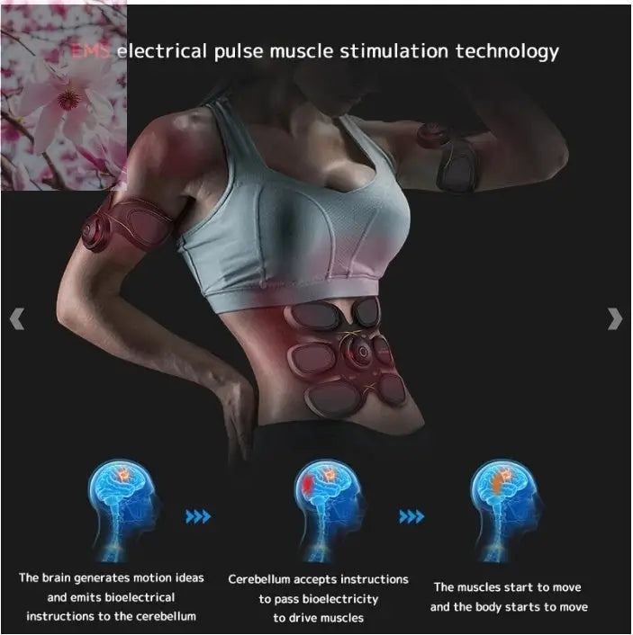 Fitness equipment set combination - Rooted & Regenerative: Sustainable Foods for the Future Rooted & Regenerative: Sustainable Foods for the Future Rooted & Regenerative: Sustainable Foods for the Future 