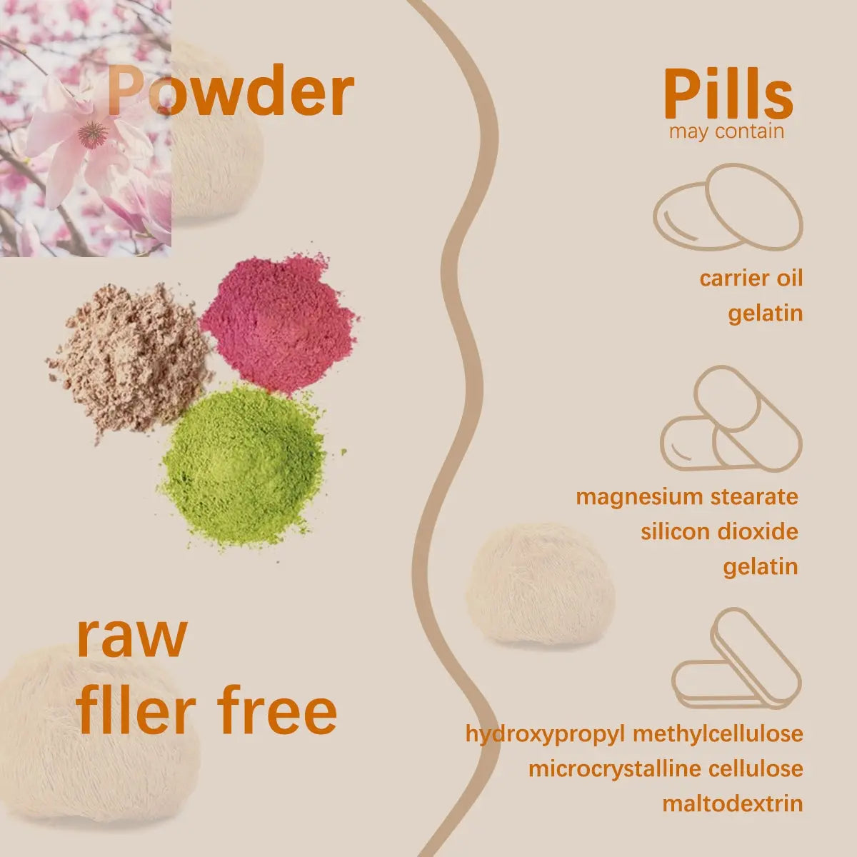 Food Health Organic Lion Bristle Mushroom Powder - Rooted Regenerative: Sustainable Foods for the Future