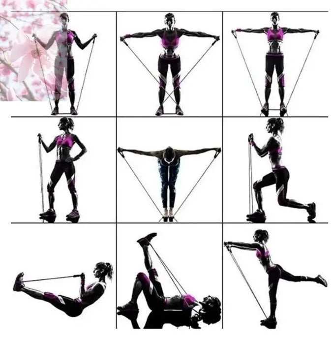 Rally Resistance Band Fitness Equipment - Rooted & Regenerative: Sustainable Foods for the Future Rooted & Regenerative: Sustainable Foods for the Future Health & Welness