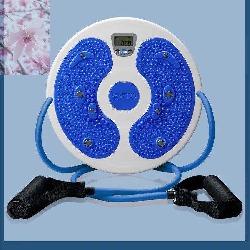 Massage Twisting Disk Mute Waist Weight Loss Fitness Equipment - Rooted Regenerative: Sustainable Foods for the Future