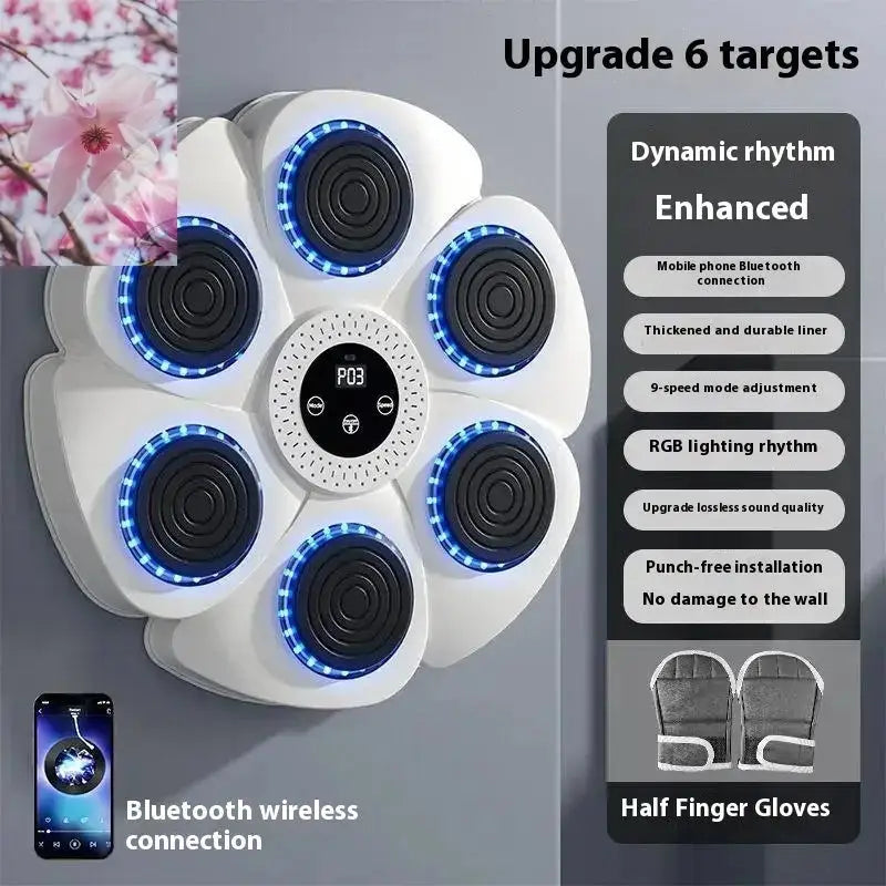 Smart Bluetooth Wireless Boxing Home Exercise Fitness Rooted & Regenerative: Sustainable Foods for the Future