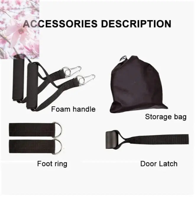 Rally Resistance Band Fitness Equipment - Rooted & Regenerative: Sustainable Foods for the Future Rooted & Regenerative: Sustainable Foods for the Future Health & Welness