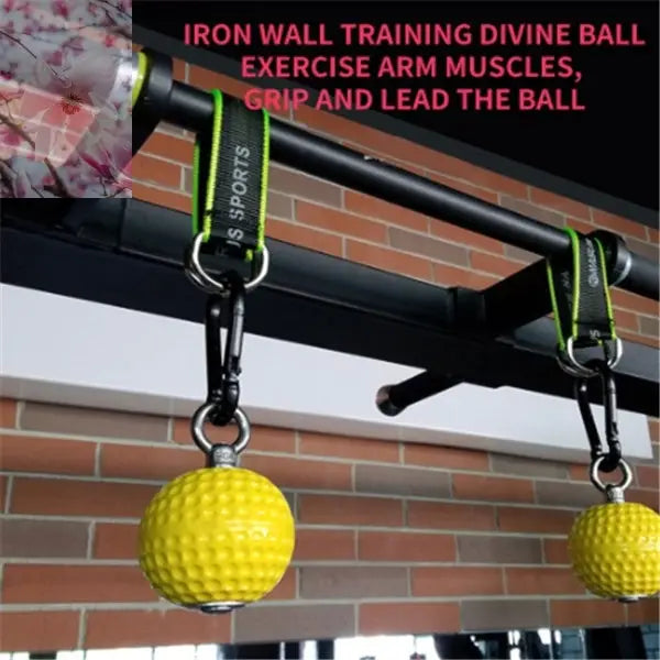 Fitness equipment training ball - Rooted Regenerative: Sustainable Foods for the Future