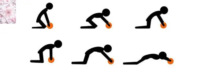 Fitness Equipment Abdominal Wheel - Rooted & Regenerative: Sustainable Foods for the Future Rooted & Regenerative: Sustainable Foods for the Future Health & Welness