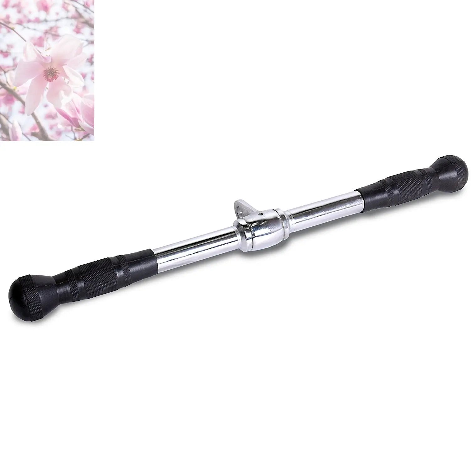 Sports fitness equipment - Rooted Regenerative: Sustainable Foods for the Future