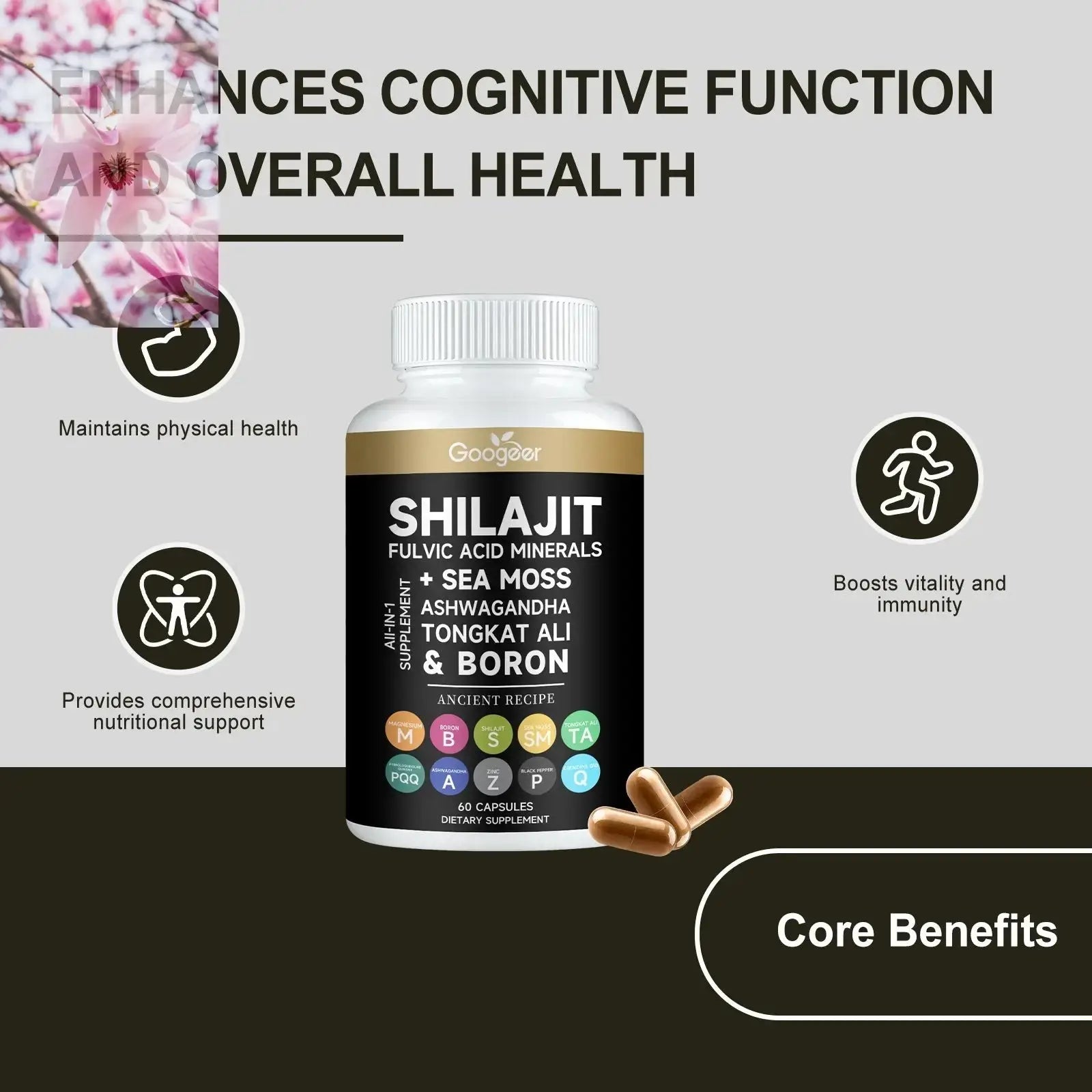 Comprehensive Herbal Health Support Capsules Rooted & Regenerative: Sustainable Foods for the Future