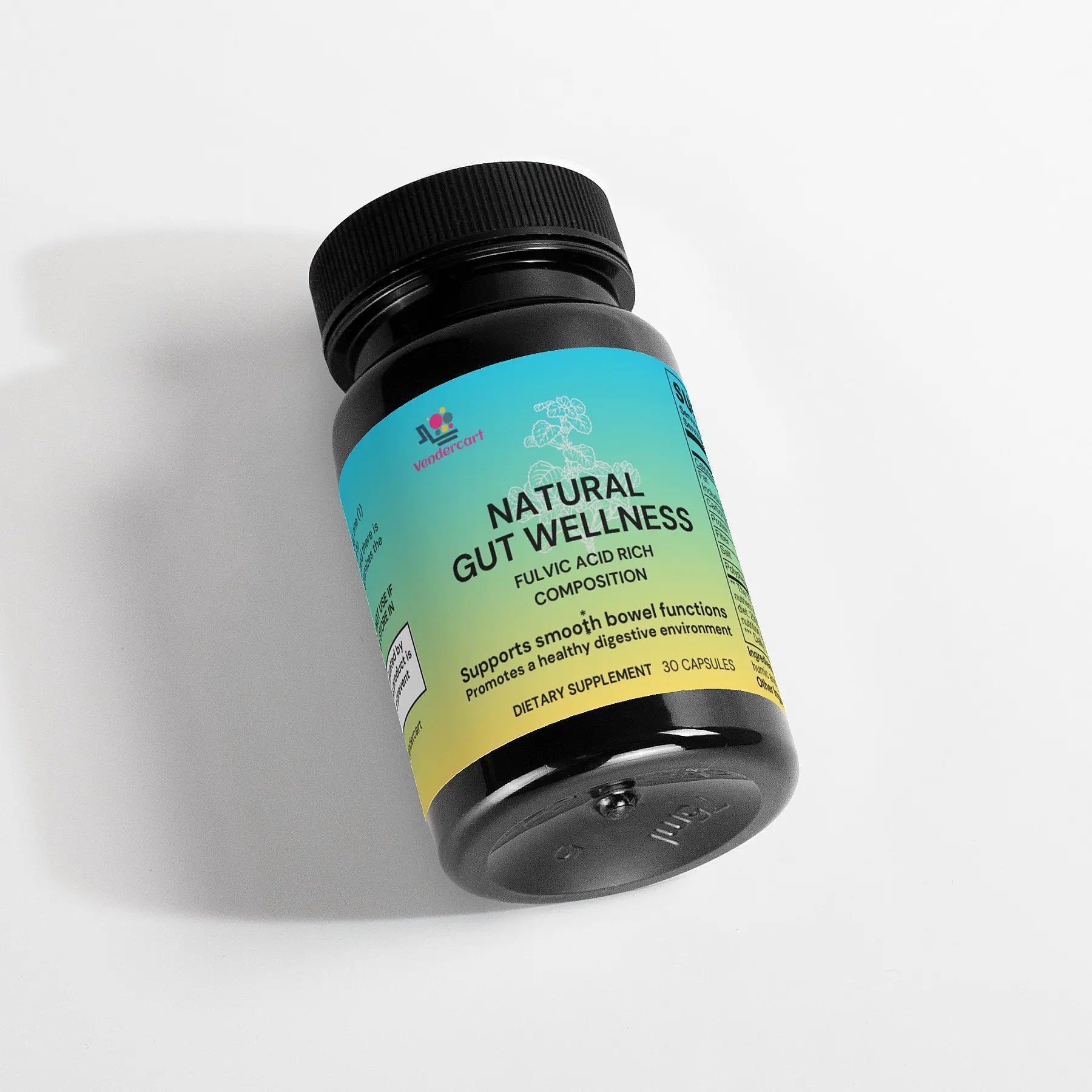 Natural Gut Wellness Capsules Rooted & Regenerative: Sustainable Foods for the Future