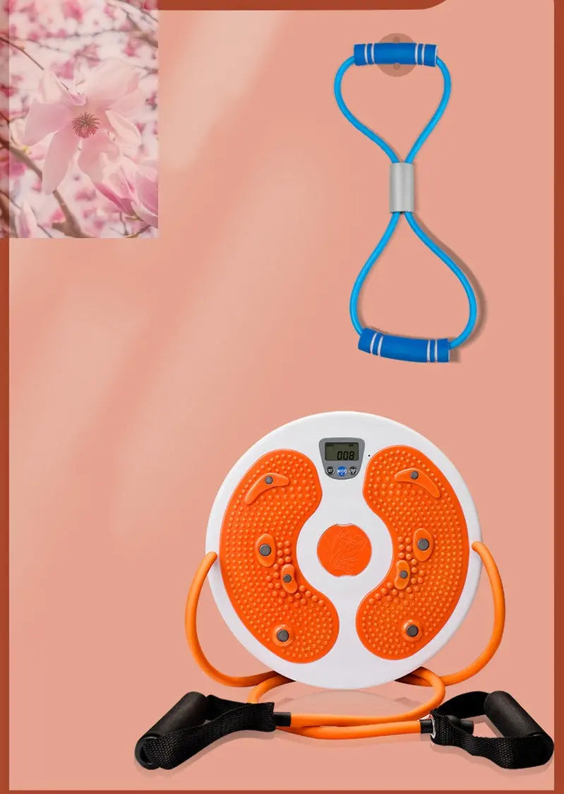 Massage Twisting Disk Mute Waist Weight Loss Fitness Equipment - Rooted Regenerative: Sustainable Foods for the Future