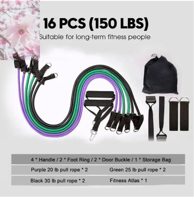 Rally Resistance Band Fitness Equipment - Rooted & Regenerative: Sustainable Foods for the Future Rooted & Regenerative: Sustainable Foods for the Future Health & Welness