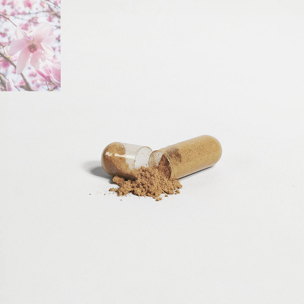 Premium Liver Support Advanced Detox Liver Health Formula - Rooted Regenerative: Sustainable Foods for the Future