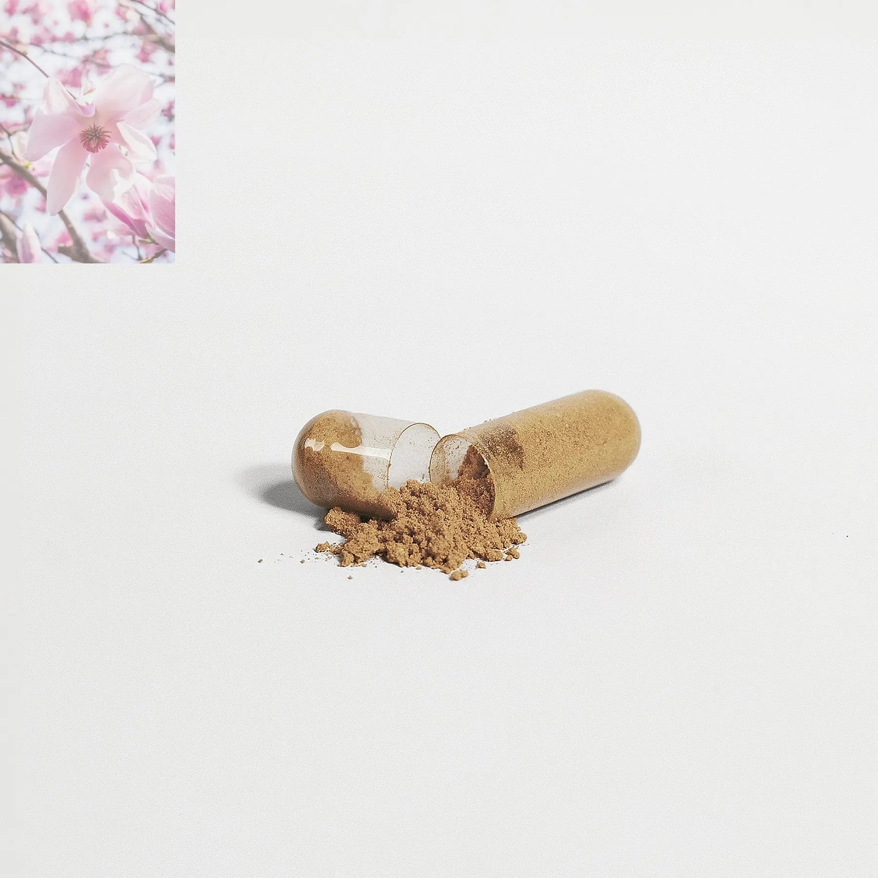 Premium Liver Support Advanced Detox Liver Health Formula - Rooted Regenerative: Sustainable Foods for the Future