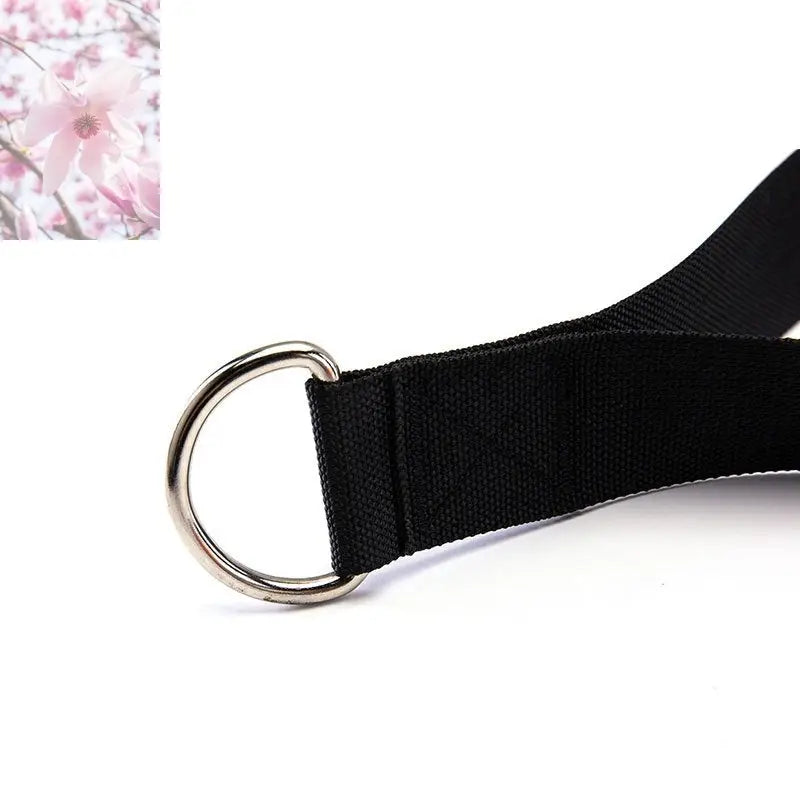 Gantry Handle Fitness Equipment Accessories - Rooted & Regenerative: Sustainable Foods for the Future Rooted & Regenerative: Sustainable Foods for the Future Health & Welness