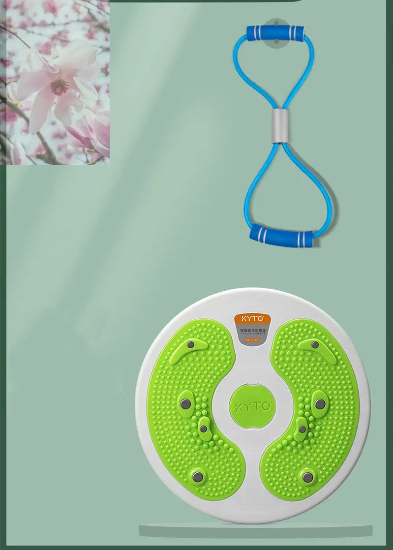 Massage Twisting Disk Mute Waist Weight Loss Fitness Equipment - Rooted Regenerative: Sustainable Foods for the Future