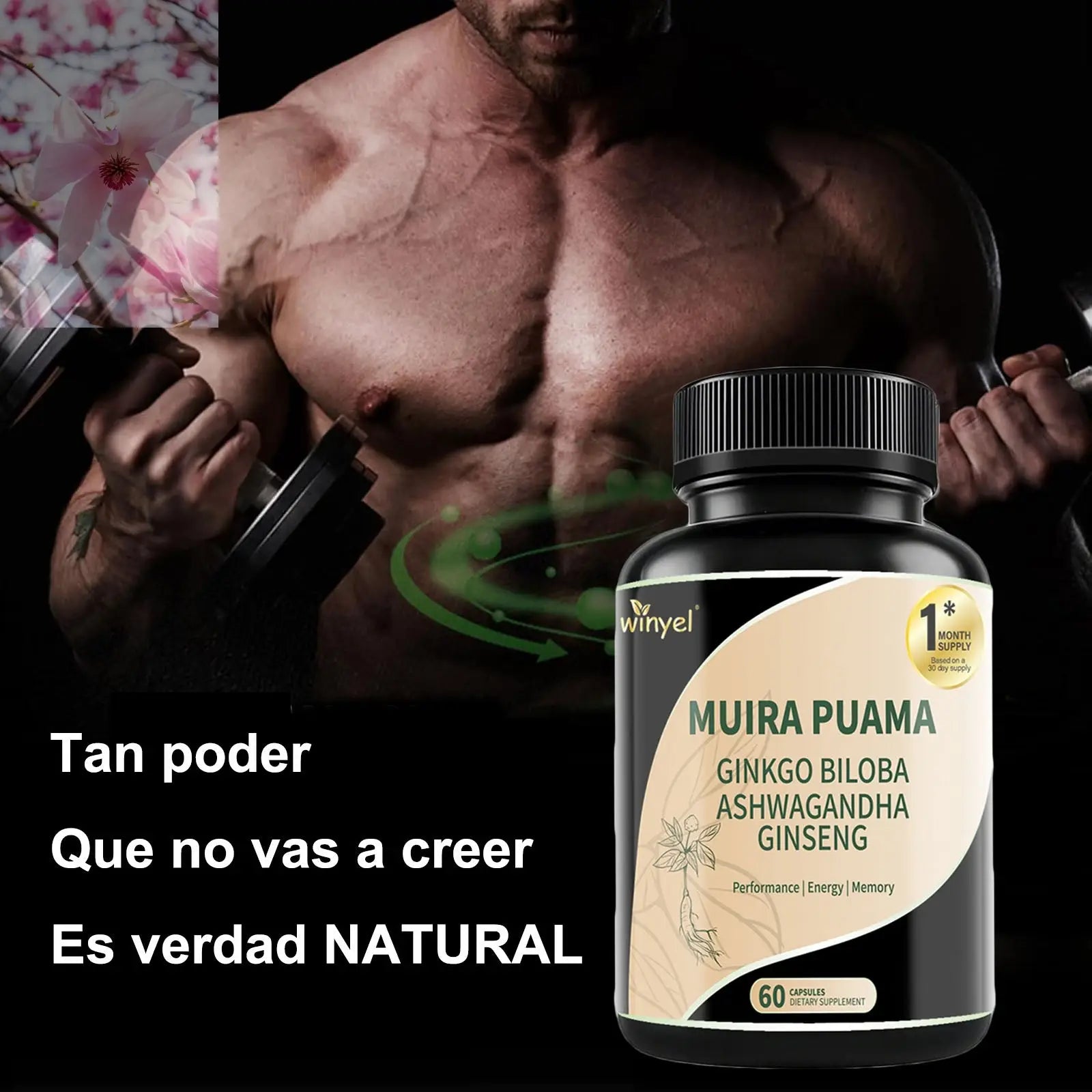 Muira Puama Ginseng Ashwagandha Ginkgo Tribulus  Herbal Supplements  Unleash Your Potential Through Our Pills  Dietary Supplements, Help Promote An Active And Healthy Lifestyle  60 Capsules - Rooted Regenerative: Sustainable Foods for the Future