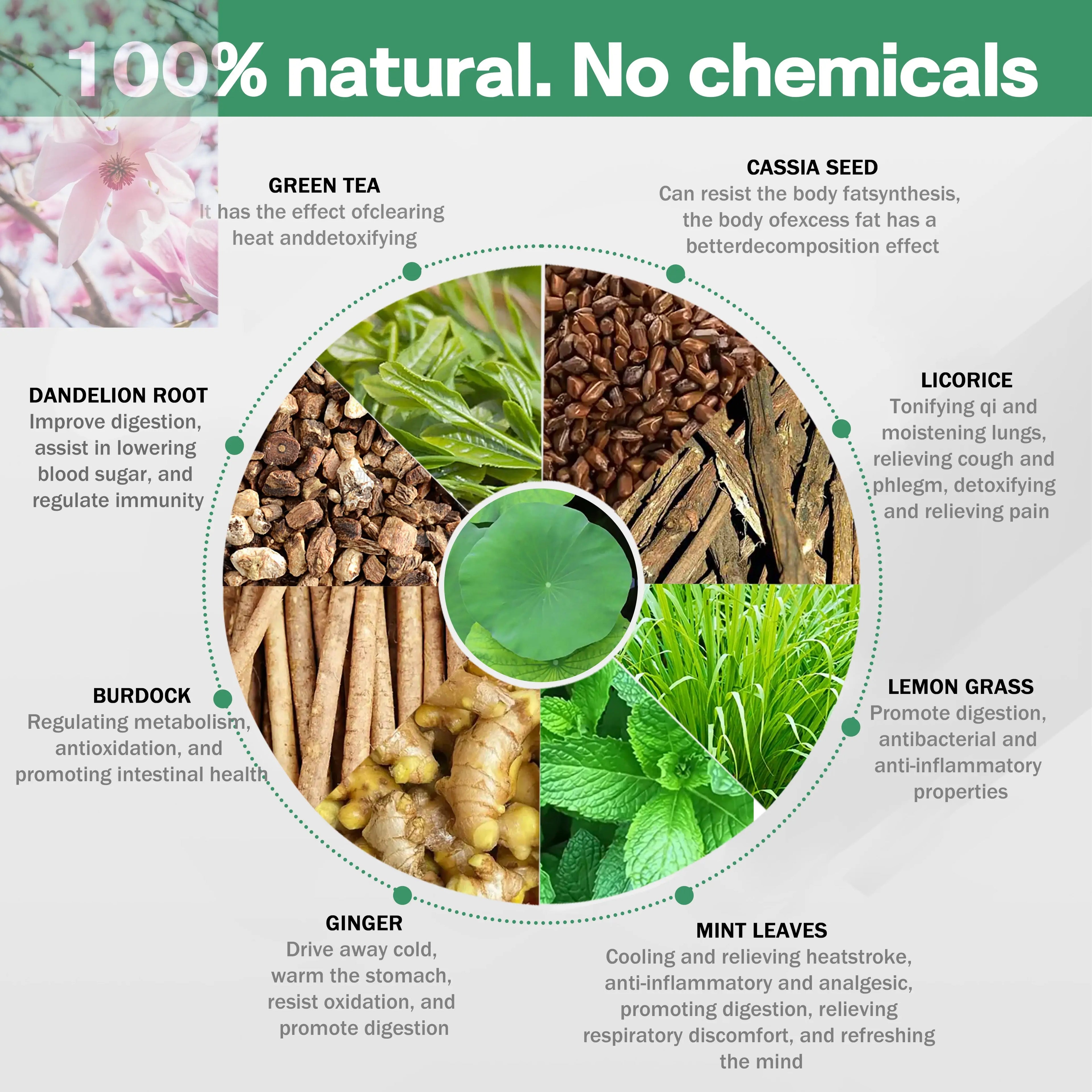 OEM ODM Private Label 14 Day Detox Tea Bag Herbal Supplements Factory GMP HALAL COA Certified Support Digestion Fat Burning And Body Shaping - Rooted Regenerative: Sustainable Foods for the Future