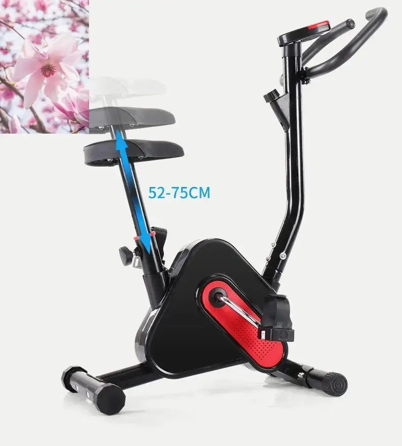 Exercise Bike Exercise Equipment Webbing - Rooted Regenerative: Sustainable Foods for the Future