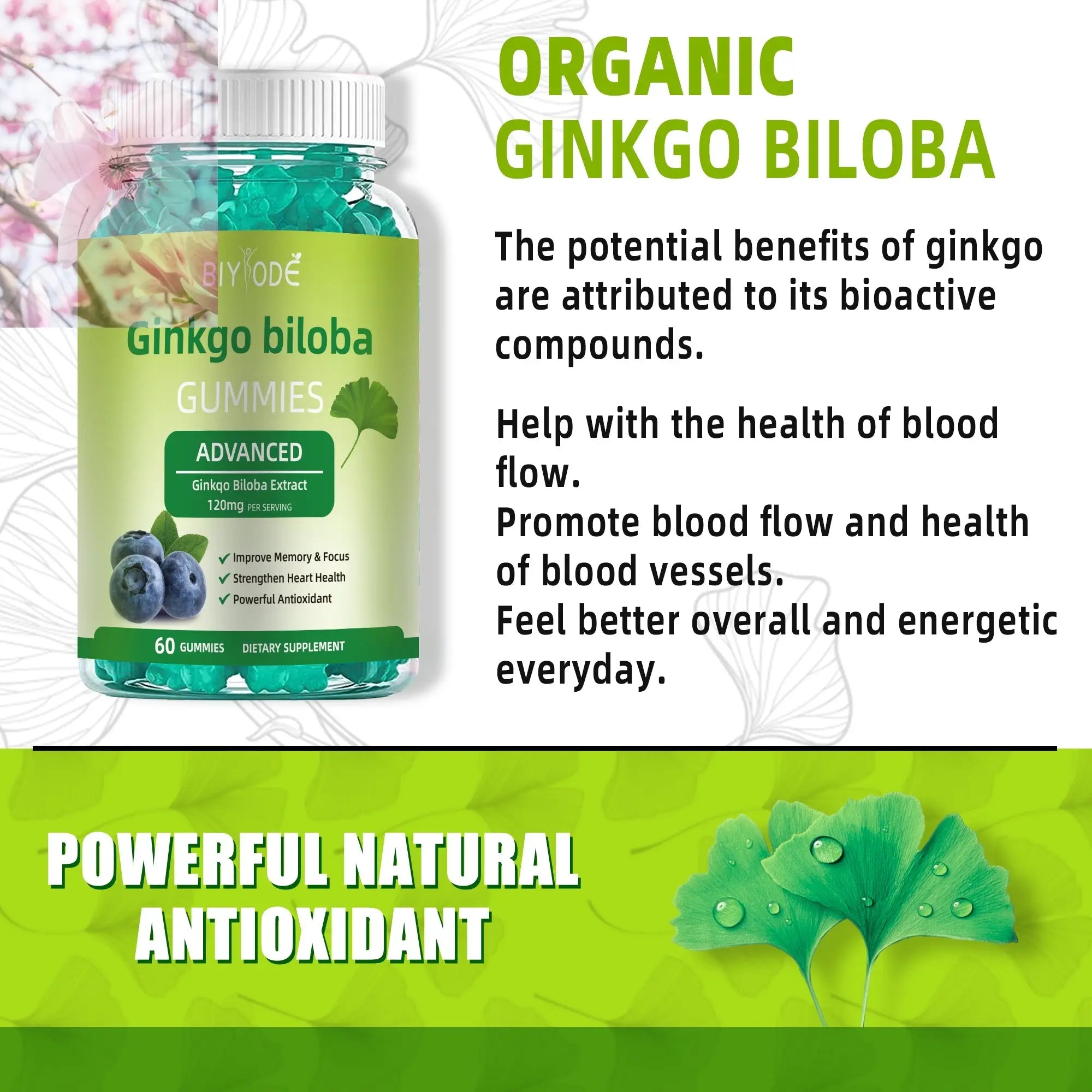 Fast Shipping Ready Stock Wholesale Herbal Supplements Ginkgo Biloba Gummies For Memory & Focus Support - Rooted Regenerative: Sustainable Foods for the Future