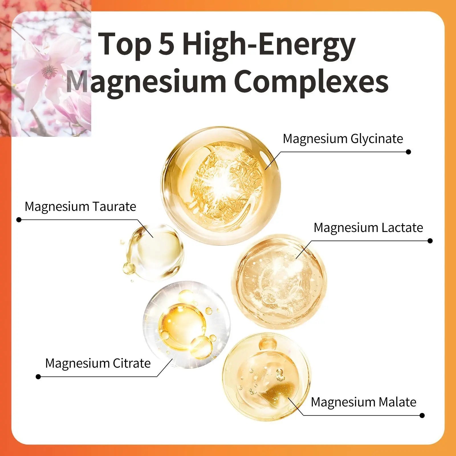 Magnesium Glycinate Malate Vitamin D3 Vegan Formula Supports Bone Health Highly Absorbable Chelated Product - Rooted Regenerative: Sustainable Foods for the Future