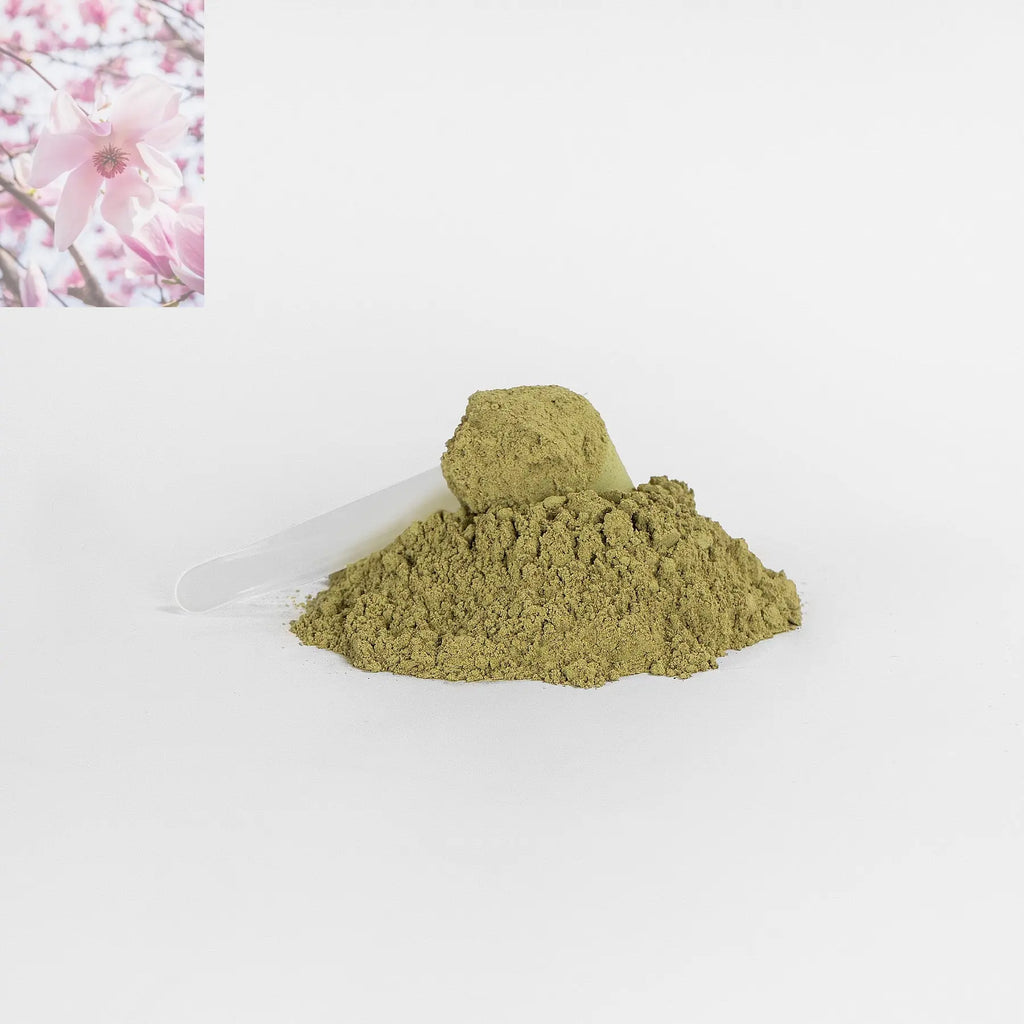 Green Superfood Powder Nutrient Rich Blend For Energy, Digestion Overall Wellness - Rooted Regenerative: Sustainable Foods for the Future