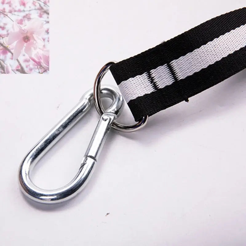 Household Fitness Equipment Arm Roll - Rooted Regenerative: Sustainable Foods for the Future