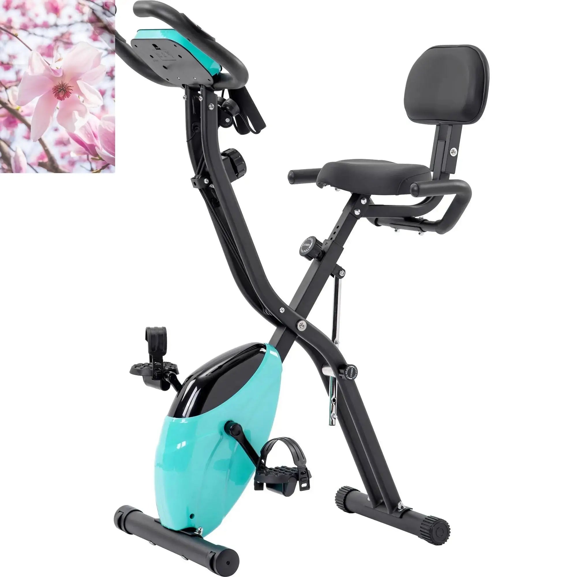 Folding Exercise Bike,Fitness Upright  Recumbent X-Bike  Adjustable Resistance - Rooted Regenerative: Sustainable Foods for the Future Rooted & Regenerative: Sustainable Foods for the Future  Rooted & Regenerative: Sustainable Foods for the Future Rooted Regenerative: Sustainable Foods for the Future Rooted Regenerative: Sustainable Foods for the Future Rooted Regenerative: Sustainable Foods for the Future Rooted Regenerative: Sustainable Foods for the Future Health & Welness