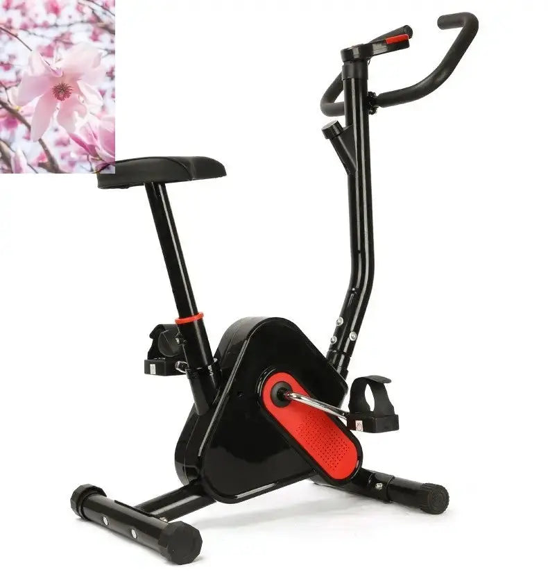 Exercise Bike Exercise Equipment Webbing - Rooted Regenerative: Sustainable Foods for the Future