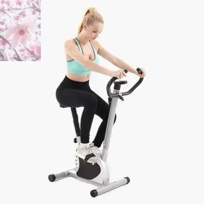 Home Office Bicycle Spinning Fitness Bicycle Fitness Equipment Ribbon Car - Rooted Regenerative: Sustainable Foods for the Future