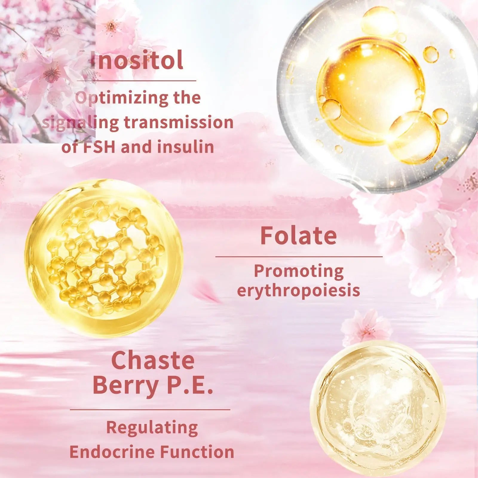 Women's Multivitamin, Multidimensional Mineral Supplement, Revitalizes Energy, Improves Mood, Nourishes Hair, Skin And Nails - Rooted Regenerative: Sustainable Foods for the Future