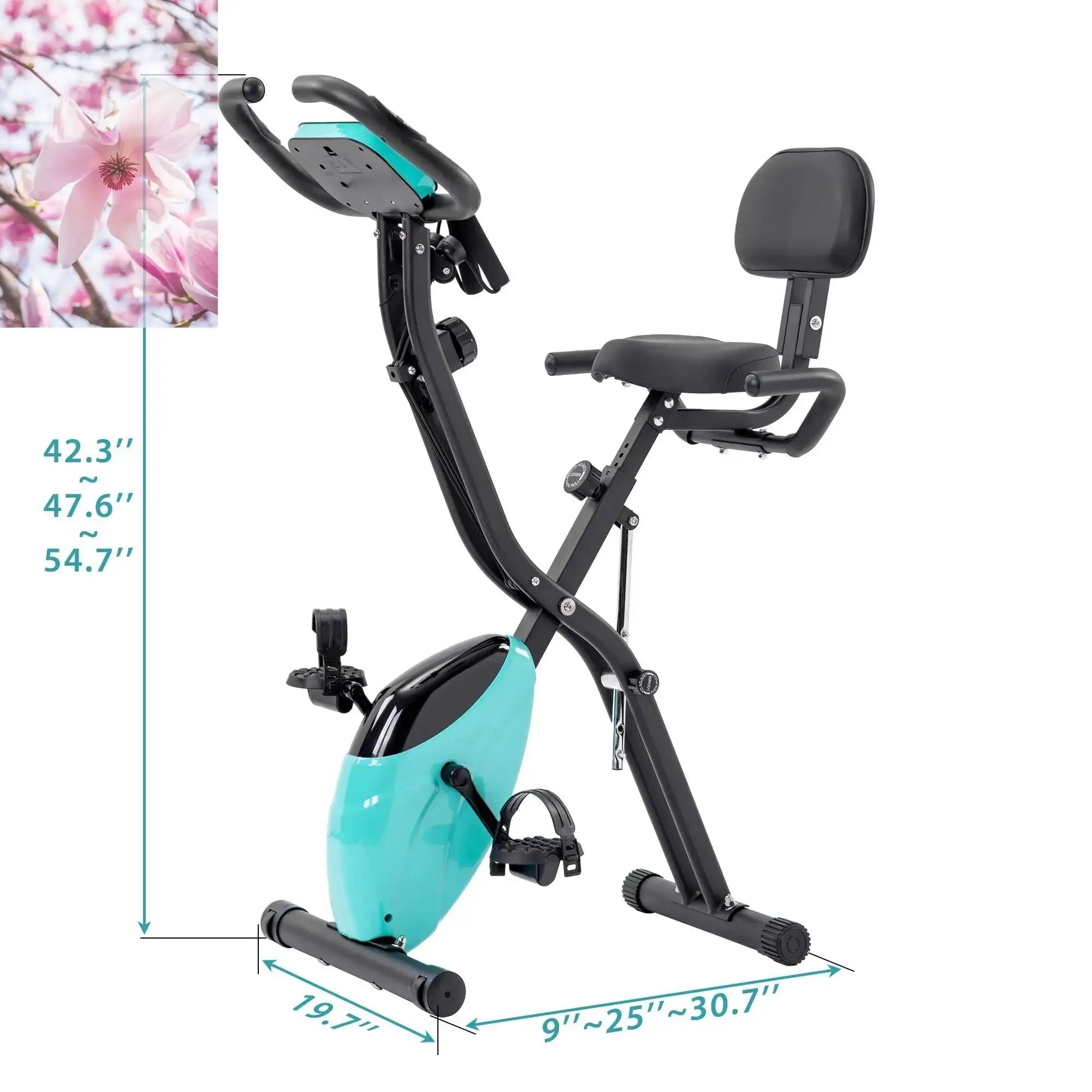 Folding Exercise Bike,Fitness Upright  Recumbent X-Bike  Adjustable Resistance - Rooted Regenerative: Sustainable Foods for the Future Rooted & Regenerative: Sustainable Foods for the Future  Rooted & Regenerative: Sustainable Foods for the Future Rooted Regenerative: Sustainable Foods for the Future Rooted Regenerative: Sustainable Foods for the Future Rooted Regenerative: Sustainable Foods for the Future Rooted Regenerative: Sustainable Foods for the Future Health & Welness