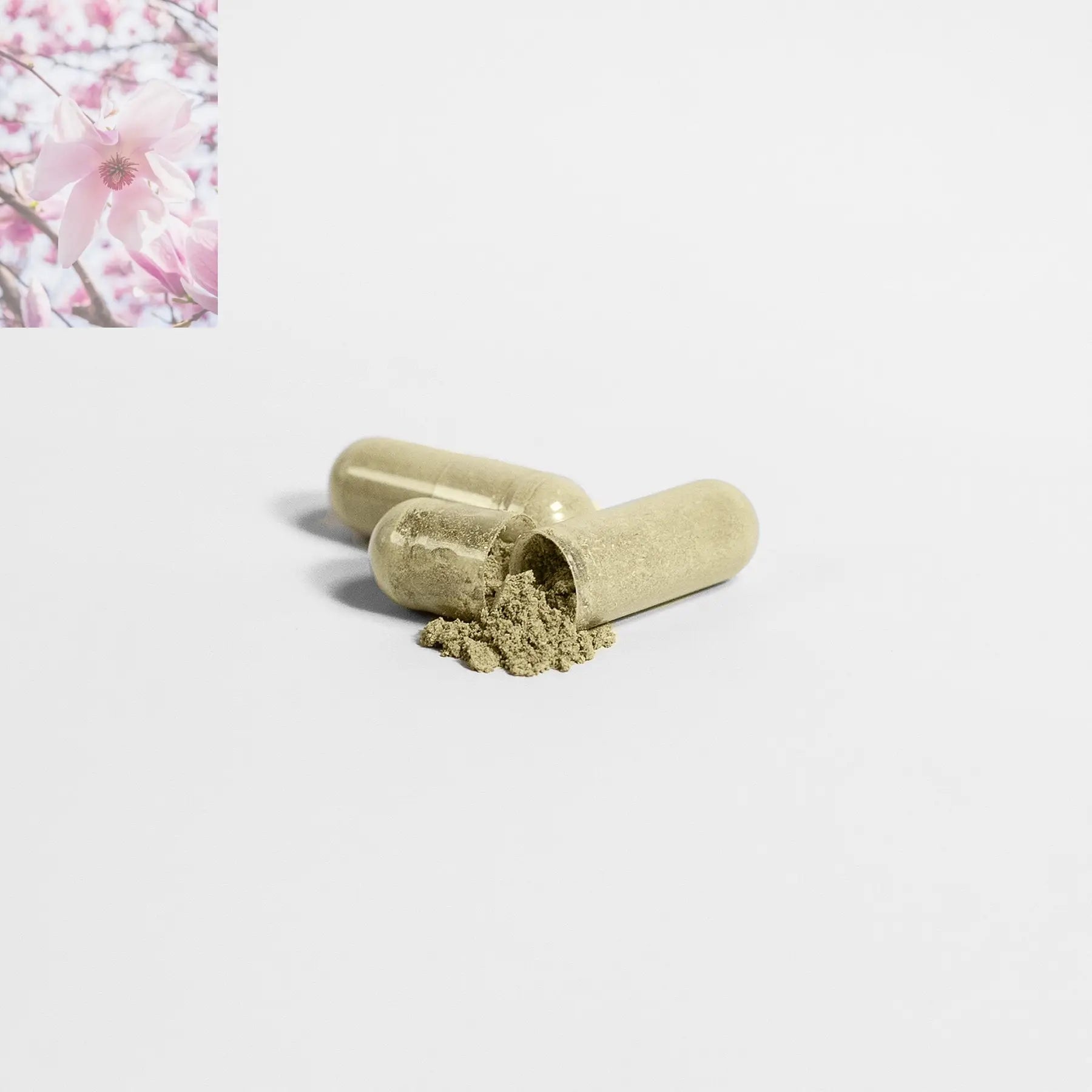 HAIR, SKIN, NAILS SUPPLEMENTS - Rooted & Regenerative: Sustainable Foods for the Future Rooted & Regenerative: Sustainable Foods for the Future Health & Welness