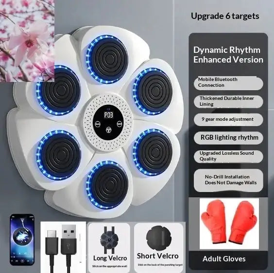 Smart Bluetooth Wireless Boxing Home Exercise Fitness Rooted & Regenerative: Sustainable Foods for the Future