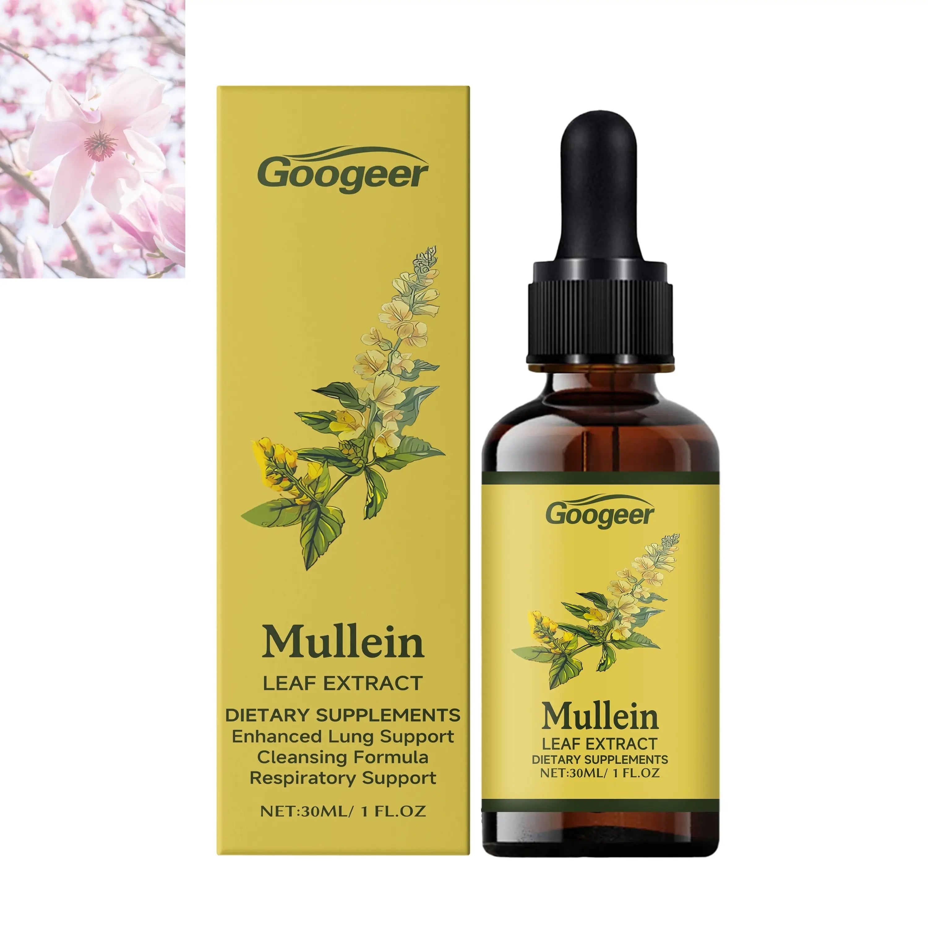 Dietary Supplements Mullein - Rooted Regenerative: Sustainable Foods for the Future