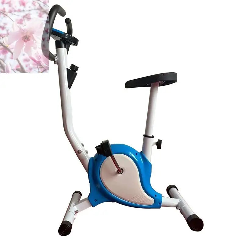 Home Office Bicycle Spinning Fitness Bicycle Fitness Equipment Ribbon Car - Rooted Regenerative: Sustainable Foods for the Future