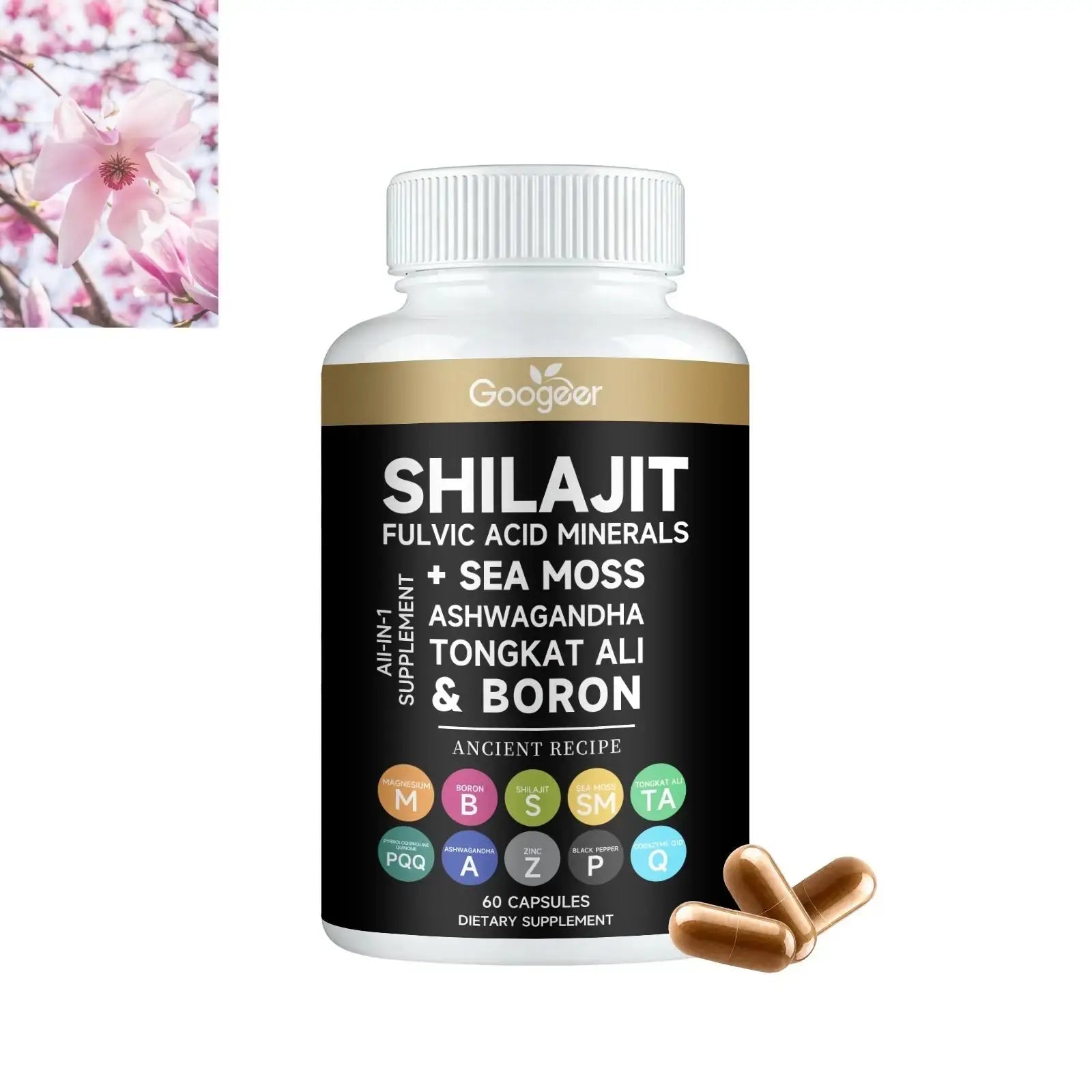 Comprehensive Herbal Health Support Capsules Rooted & Regenerative: Sustainable Foods for the Future