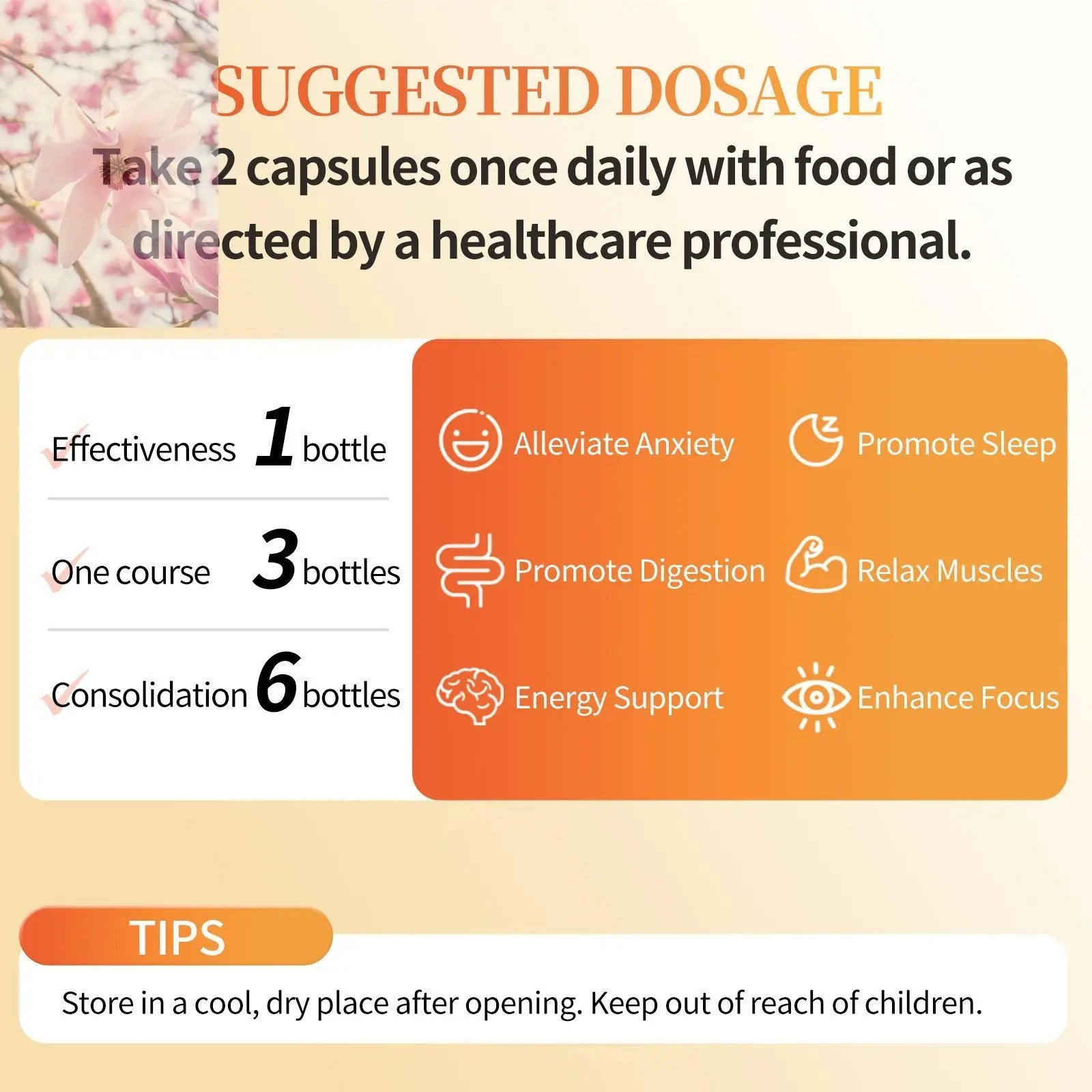 Magnesium Glycinate Malate Vitamin D3 Vegan Formula Supports Bone Health Highly Absorbable Chelated Product - Rooted Regenerative: Sustainable Foods for the Future