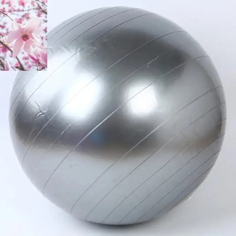 Yoga Ball Fitness Beginner Children Exercise More Gymnastics Glossy Ball - Rooted Regenerative: Sustainable Foods for the Future Rooted & Regenerative: Sustainable Foods for the Future Silver / 85CM